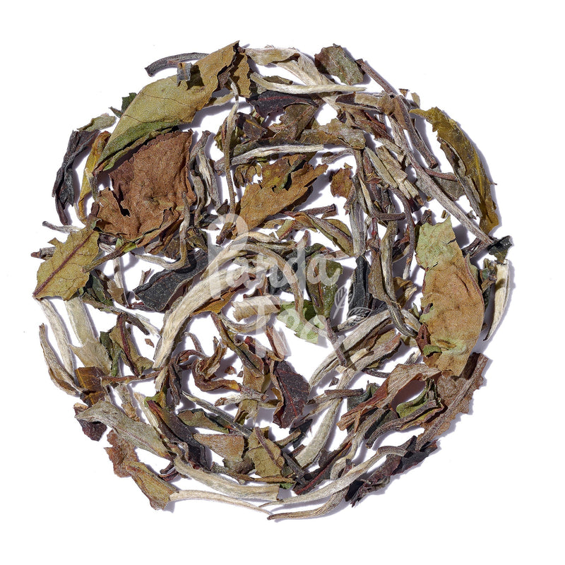 Pai Mu Tan (Bai Mu Dan) Bio