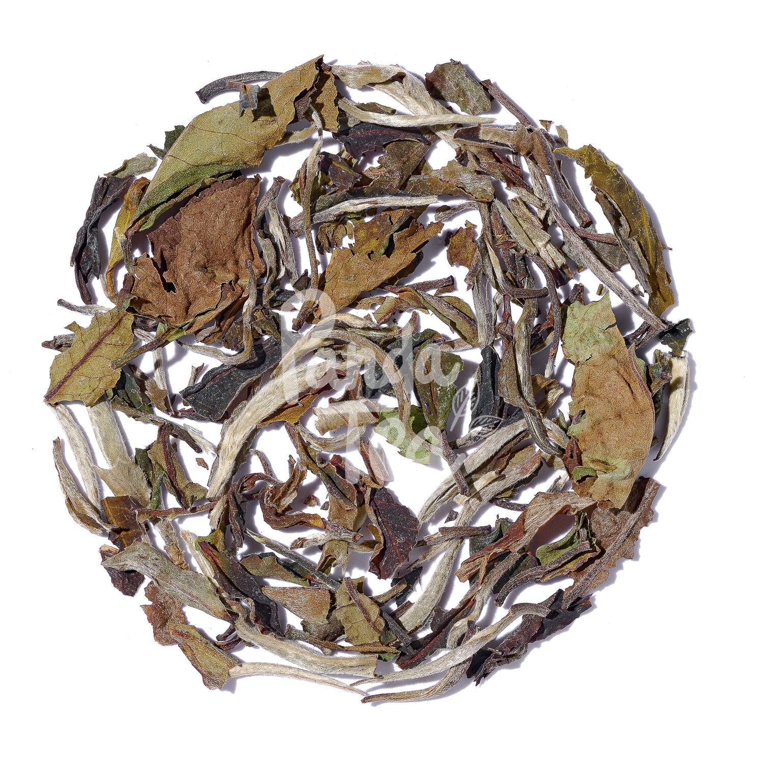 Pai Mu Tan Bio et Boîte Washi n°6