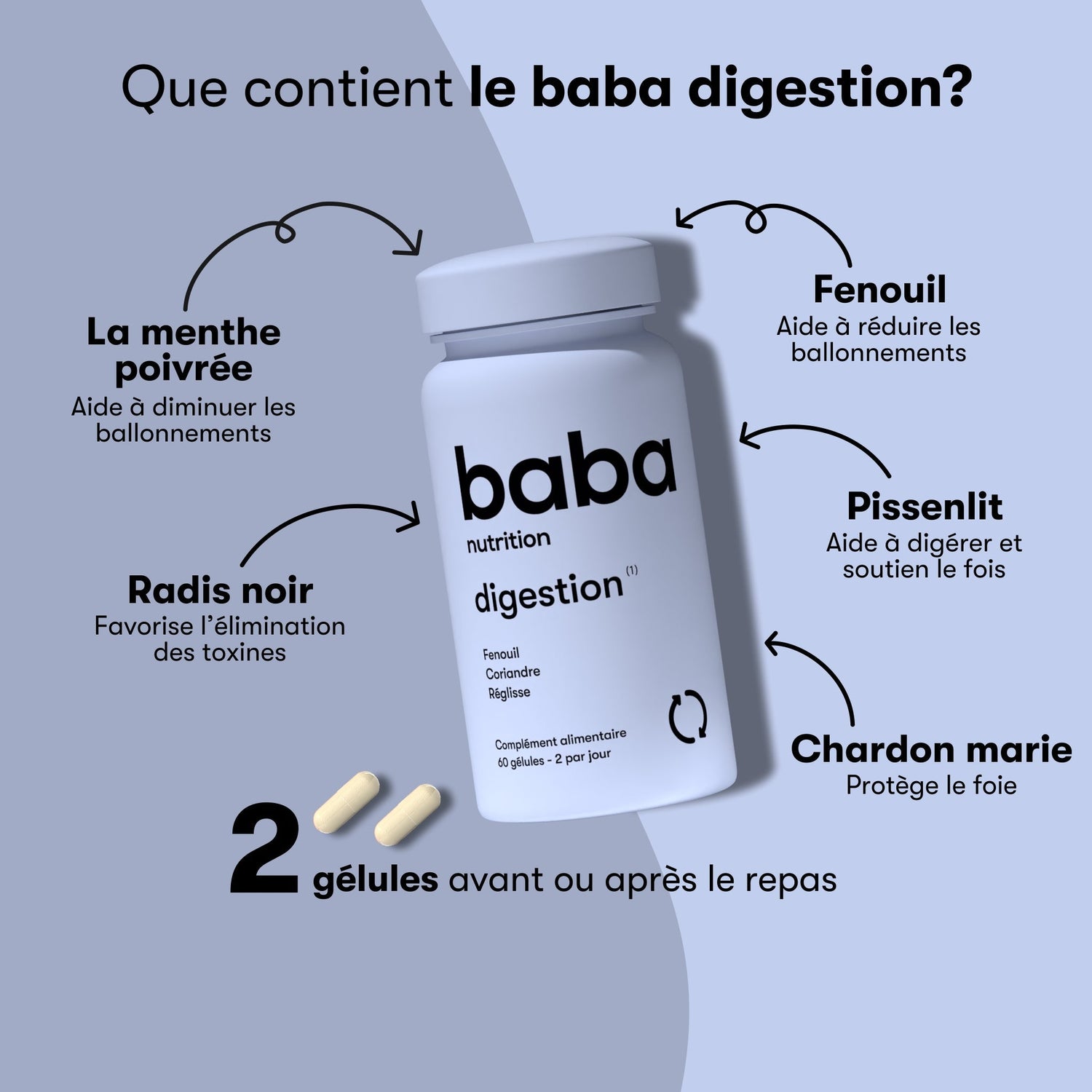 Digestion